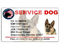 Registered Service Dog Id Card Service Dog Id K9 Watermark Service Dogs Dog Id Dogs