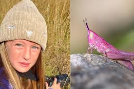 A Pink Grasshopper? 9-Year-Old Photographer Makes A Rare Discovery