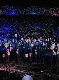 Field Of Lights Sensario Field Paso Robles Lights