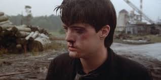 Roger Ebert Said This Dreamy Overlooked Horror Was Better Than David  Lynch's 'Blue Velvet'