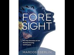 First, start with pointing the word out, telling them how to pronounce it, and showing it to them over and over again. How To Pronounce Eberlin Howtopronounce Com