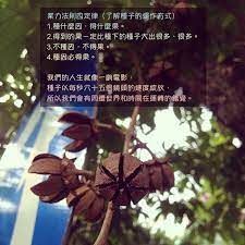 vivihsieh on instagram 業力法則四定律 了解種子的運作方式 1 種什麼因 得什麼果 2 得到的果ㄧ定比種下的種子大出很多 很多 3 不種因 不得果 4 種因必得果 我們的人生就像一齣電影 種子以每 buddha quotes instagram posts instagram