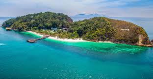 The island is also blessed with beautiful flora and fauna, and is a great malaysia property for sale by owner. 5 Private Islands Around Malaysia For Your Next Beach Getaway