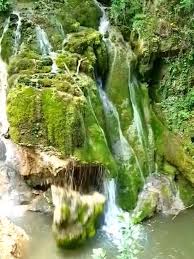 Anunțul a fost făcut de către reprezentanții regiei naționale a pădurilor romsilva. Srmyq99e9j17ym