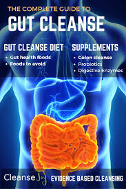 Check spelling or type a new query. Gut Cleanse The Complete Digestive Gut Health Plan