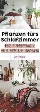 Endlich Wieder Durchschlafen 7 Luftreinigende Pflanzen Furs Schlafzimmer Dunkles Schlafzimmer Schlafzimmer Pflanzen Zimmer