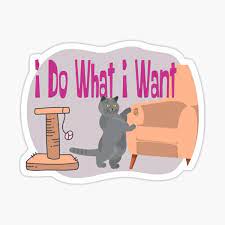 Pin On Cat Meme Products