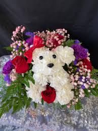 $50 for $100 toward prescription eyeglasses or sunglasses from bestbuyeyeglasses.com. Love Puppy Puppy Carnation Flower Arrangement In San Antonio Tx Awesome Blossom Florist