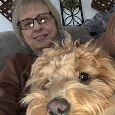 Bedford area dog groomer recommendations needed