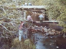 Image result for Verde Night 1982 Fleet