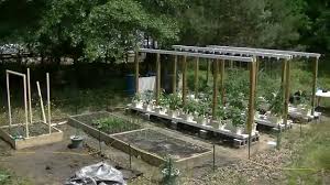 See more ideas about aquaponics, backyard aquaponics, hydroponics. 2014 08 Complete Overview Of The Outdoor Hydroponic Garden Youtube