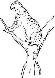 Cheetah coloring pages are a fun way for kids of all ages, adults to develop creativity, concentration, fine motor skills, and color recognition. Free Printable Cheetah Coloring Pages For Kids