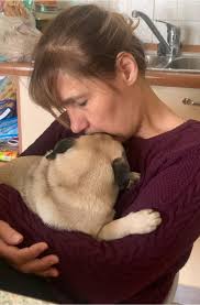 How to help a grieving German Shepherd after losing its companion dog?