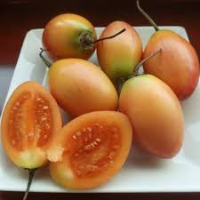 Image result for Cynanchum mossambicense