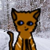 The Red Zone: An Earthquake Story by Silvia Vecchini