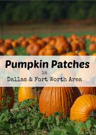 Pumpkin Patches In Dallas Fort Worth North Texas Area Pumpkin Patch Dallas Fort Worth Pumpkin