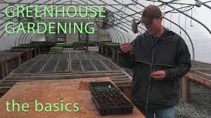 How do you garden in a greenhouse? The Basics Of Greenhouse Gardening Youtube