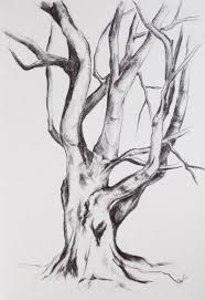 Black And White Drawing Ideas Nature Landscape Black And White Drawing Inspiration 51 Ideas Tree Drawings Pencil Graphite Drawings Tree Drawing