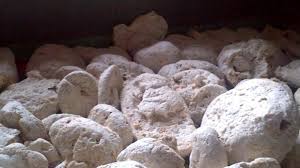 Kucing yang satu ini memiliki bulu pendek, bertekstur lembut serta keriting. Michicosbrain Jenis Jenis Ambergris Warga Berburu Muntahan Paus Berharga Ratusan Juta Di Wakatobi Regional Liputan6 Com Ambergris Is Also Referred To As Whale Ambergris Or Grey Amber