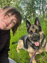 Dog sitting and walking services available