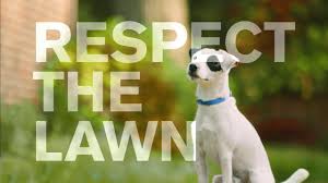 Northern virginia lawn care & lawn fertilization programs. Virginia Green Lawn Care Aeration Seeding Commercial Youtube