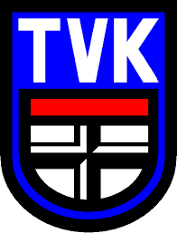 Normally logos are made in vector format. Logo Tv Konstanz