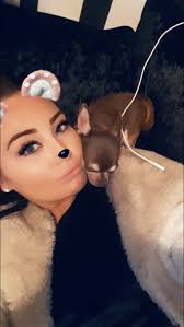 Seagull 'drops severed puppy paw' feared to be that of missing Gizmo the  Chihuahua in grim twist