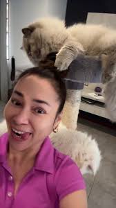 Las mejores caricias gatunas para tu gato