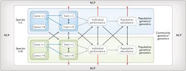 Maybe you would like to learn more about one of these? The Importance Of Genomic Variation For Biodiversity Ecosystems And People Nature Reviews Genetics