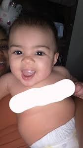 First time boarding a pitbull