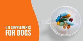 Early research shows that taking dried cranberry daily for 6 months might improve urinary symptoms and reduce levels of certain chemicals associated with bph. Uti Supplements For Dogs Cranberry Tablets Dosage Reviews Faqs