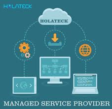 Holateck Is A It Managed Service Provider Company That Manages Information Technology Services For Other Companies Via Web An M Information Technology Services