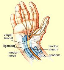 Athletic training u0026 conditioning a guide to the treatment. Concannon Plastic Surgery Carpal Tunnel Syndrome Columbia Mo Dr Concannon