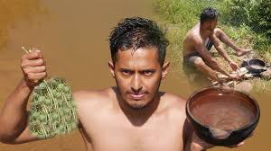 Edison muzenda, iaeng, member, john kabuba, philiswa mdletye and mohamed extracted from castor beans by either mechanical pressing or solvent extraction or combination of the two. Primitive Technology Extracting Castor Oil From Castor Seeds Youtube