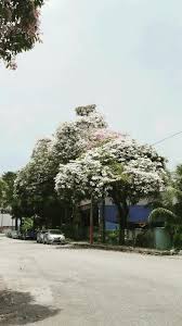 Bhd., a malaysia company (cesb), and concord corporation pte. Bond M E Sdn Bhd Home Facebook