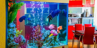 Aquarium in purbalingga, jawa tengah. Model Rak Aquarium