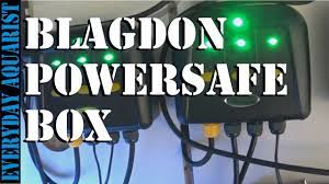 Koi pond, building a perfect hobby. Upgrading Shed Fishroom Electrics Using Blagdon Powersafe Switch Box Youtube