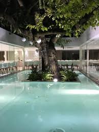 Photo0 Jpg Picture Of Mama Casa In Campagna Cellole Tripadvisor