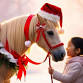 Christmas Holiday Market — Zuma's Rescue Ranch - 7745 N Moore Rd Event Image