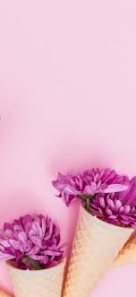 It's been days that apple launched their new smartphone no, don't thank us because this is literally what we love doing for you guys but don't forget to share which of the wallpapers and backgrounds. Pink Flowers Chamomile Egg Cone 1242x2688 Iphone 11 Pro Xs Max Wallpaper Background Picture Image