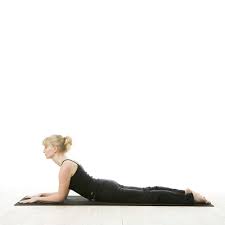 Sphinx Pose Salamba Bhujangasana Ekhart Yoga Ekhart Yoga Yoga Poses Beginner Poses Poses
