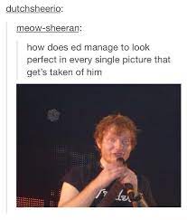See more ideas about memes, funny memes, funny pictures. Tumblr Ifunny Ed Sheeran Tumblr Funny Ed Sheeran Memes