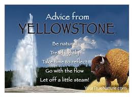 Advice From Yellowstone Nature Quotes True Nature Advice