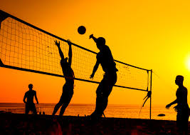 Image result for Volleyball