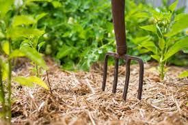 Самые новые твиты от garten münchen (@garten_muenchen): So Funktioniert Mulchen Schritt Fur Schritt Zum Mulchbeet Wurzelwerk