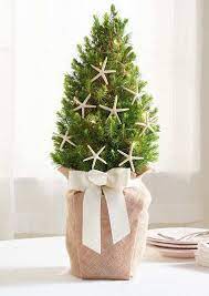 Coastal Nautical Mini Christmas Trees In Pots Buckets Baskets Mini Christmas Tree Decorations Mini Christmas Tree Coastal Christmas Tree