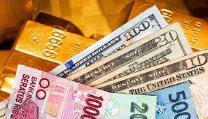 Apa Itu Cadangan Devisa