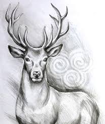 Pin By Donkey Village On Drawing Paintings In 2021 Pencil Drawings Deer Art Pencil Drawings Of Animals