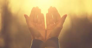 Resultado de imagem para gratidao