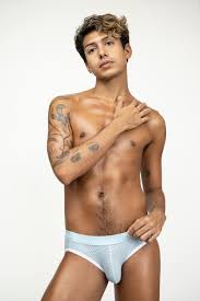 Gay Porn Star Database - WAYBIG